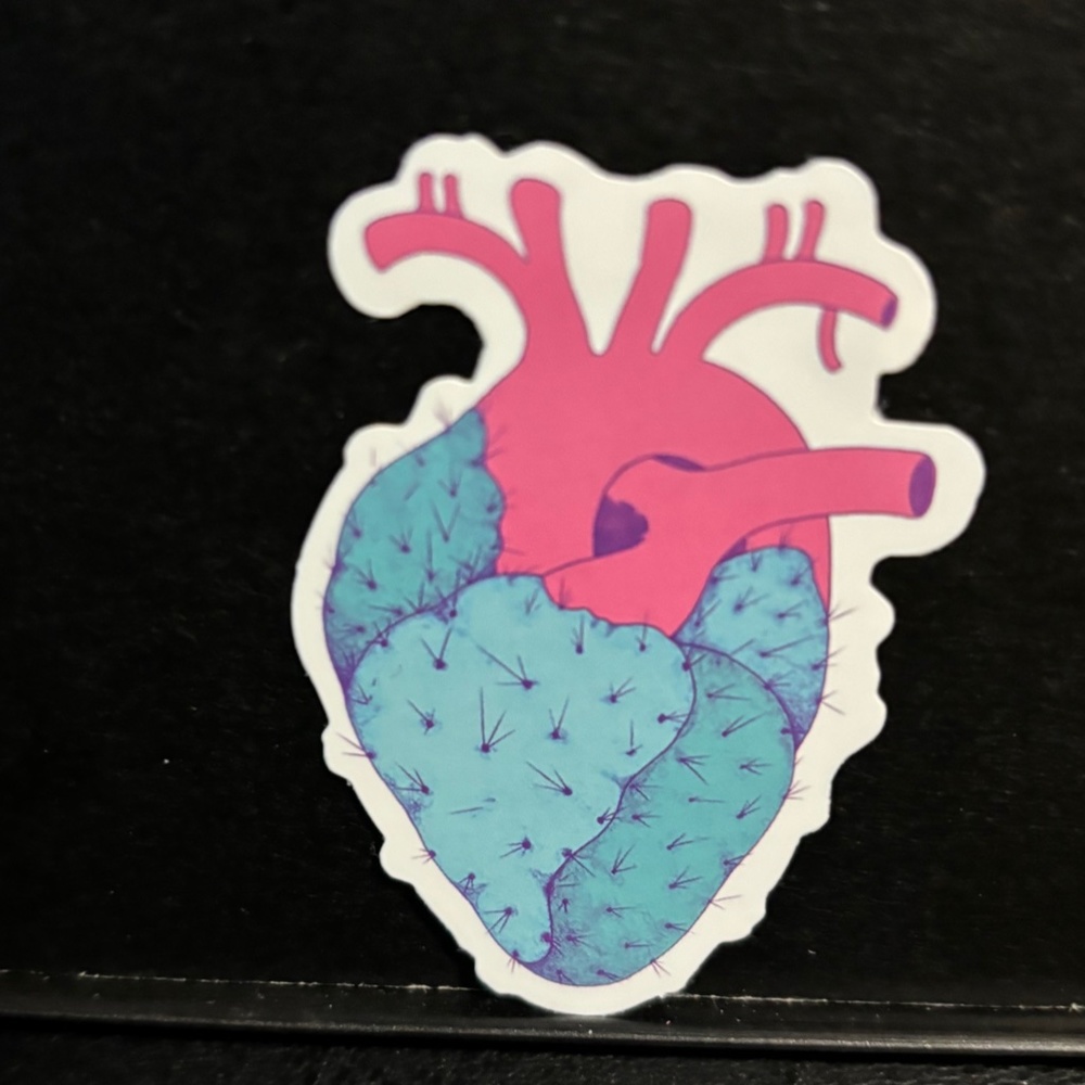 HEART ANATOMY STICKER